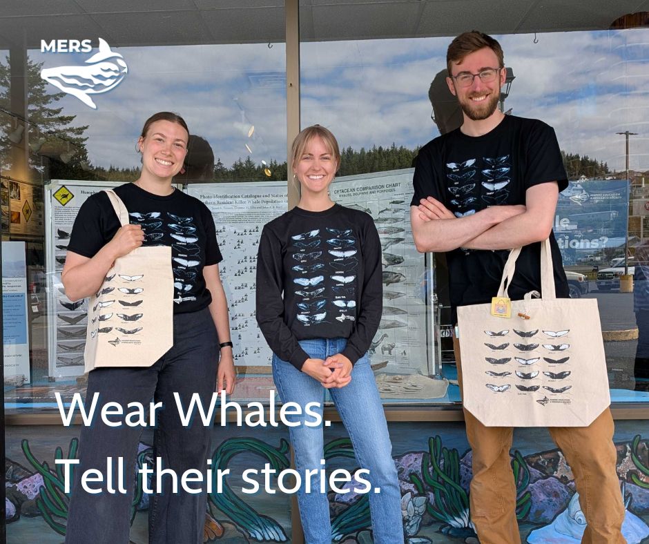 Facebook ambassador whales