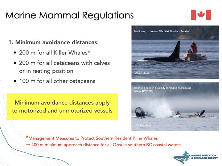 ‎Media Matters 2025 03 28.‎004